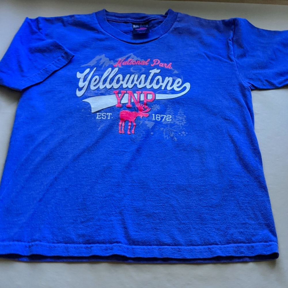 🌈10-12, dark lavender glitter Yellowstone t-shirt